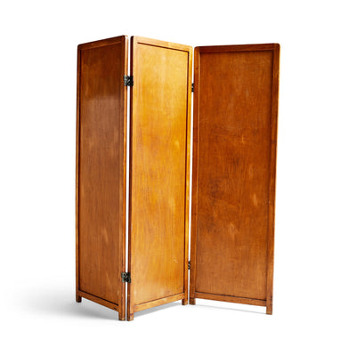 Vintage Screen from USA