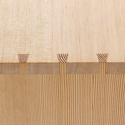 Professor's Flat File by Poul Kjaerholm for Rud Rasmussen - WYETH